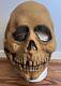 Don Post Studios Skull Skeleton Mask 1967 Orig Vintage Rare Nice