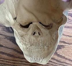 DON POST STUDIOS Skull Skeleton Mask 1967 orig vintage RARE NICE