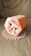 Halloween Rare 1962 America Vtg Baby Pink Accordion Star Company Star Rubber Dol