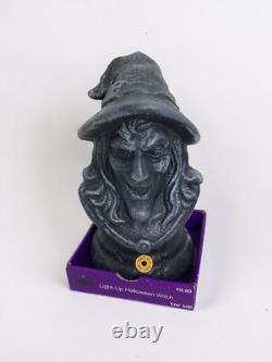 RARE Vintage Halloween Animated LightUp WITCH Cackling Talking NIB CVS Exclusive