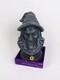 Rare Vintage Halloween Animated Lightup Witch Cackling Talking Nib Cvs Exclusive
