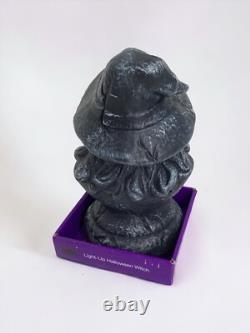 RARE Vintage Halloween Animated LightUp WITCH Cackling Talking NIB CVS Exclusive