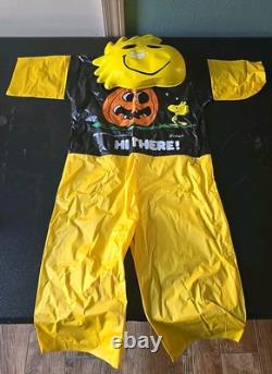 Rare VINTAGE PEANUTS Woodstock COLLECTIBLE HALLOWEEN COSTUME 1975 ORIGINAL BOX