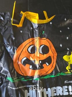 Rare VINTAGE PEANUTS Woodstock COLLECTIBLE HALLOWEEN COSTUME 1975 ORIGINAL BOX