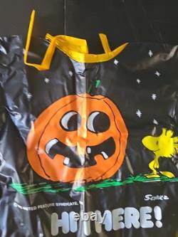 Rare VINTAGE PEANUTS Woodstock COLLECTIBLE HALLOWEEN COSTUME 1975 ORIGINAL BOX