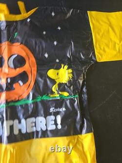 Rare VINTAGE PEANUTS Woodstock COLLECTIBLE HALLOWEEN COSTUME 1975 ORIGINAL BOX