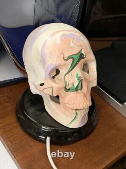 Rare Vintage Bones Skull Lamp Light Ceramic Glass Base Color Swirls Tested Works