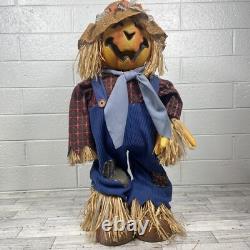 Rare Vintage Gemmy Halloween Fiber Optic Color Changing Pumpkin Scarecrow Read