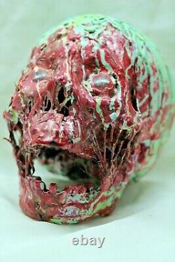 Skull Vintage Halloween Prop Head Decor Skeleton Rare Decoration Green