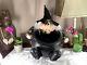 Vintage 1987 Union Products Halloween Witch Spider Candy Corn Bucket Rare Beauty