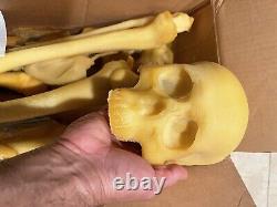 Vintage 1991 Halloween Michael Burnett Productions Extremely Rare Skeleton Kit