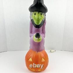 Vintage 1992 Don Featherstone Flying Witch Halloween Blow Mold Rare With Light