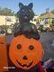 Vintage 34 Black Cat On Pumpkin Halloween Blow Mold Rare