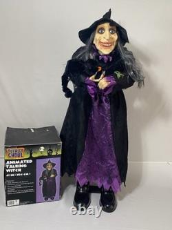 Vintage Animated Talking Witch With Black Cat 41 By Totally Ghoul Rare