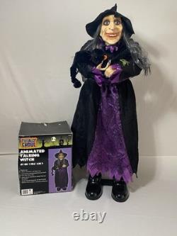 Vintage Animated Talking Witch With Black Cat 41 By Totally Ghoul Rare