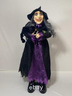Vintage Animated Talking Witch With Black Cat 41 By Totally Ghoul Rare