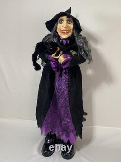Vintage Animated Talking Witch With Black Cat 41 By Totally Ghoul Rare