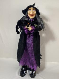 Vintage Animated Talking Witch With Black Cat 41 By Totally Ghoul Rare