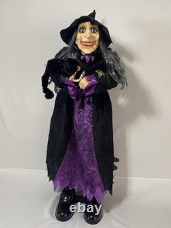 Vintage Animated Talking Witch With Black Cat 41 By Totally Ghoul Rare