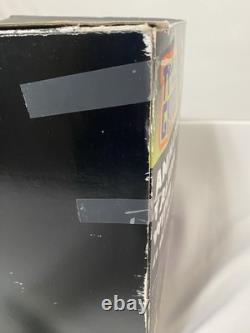Vintage Animated Talking Witch With Black Cat 41 By Totally Ghoul Rare