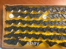 Bagues en plastique de chauve-souris vintage pour Halloween ! Rare ! 67 bagues de chauve-souris