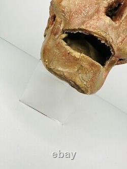 Crâne vintage en papier mâché fait à la main : Antique Rare Halloween des années 50-60