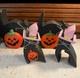Ensemble De Chats Et Citrouilles En Bois Vintage Rares Pour Halloween 13pcs Silver Whiskers
