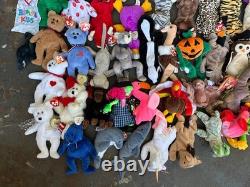 Lot de Beanie Babies 100 Étiquettes Neuves Vintage 1993 2003 Ours Halloween Rare Oiseau