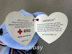 Lot de Beanie Babies 100 Étiquettes Neuves Vintage 1993 2003 Ours Halloween Rare Oiseau