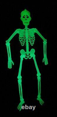 Rare Vintage Skeleton Décoration Glow In The Dark 5ft