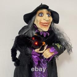 Sorcière animée vintage qui parle avec un chat noir 41 par Totally Ghoul rare