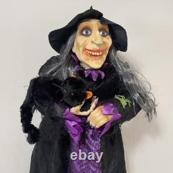 Sorcière animée vintage qui parle avec un chat noir 41 par Totally Ghoul rare