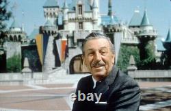 Vintage Des Années 1960 Walt Disney Sous Vide Masque D'halloween En Plastique Rare
