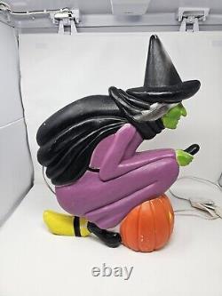 Vtg Flying Witch Halloween Blow Mold Union Products Don Featherstone RARE	 <br/> Vtg Sorcière volante Halloween Blow Mold Union Products Don Featherstone RARE